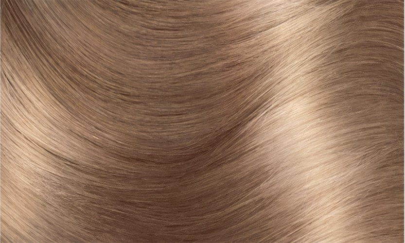 Muestra de la coloracion Excellence Creme 81 Rubio claro ceniza